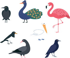 Obraz premium Diverse cartoon bird illustration set featuring a pink flamingo, peacock, pigeon, pelican, and black crows isolated on a white background