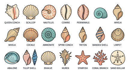 Seashell and marine life collection with species names © Kembang