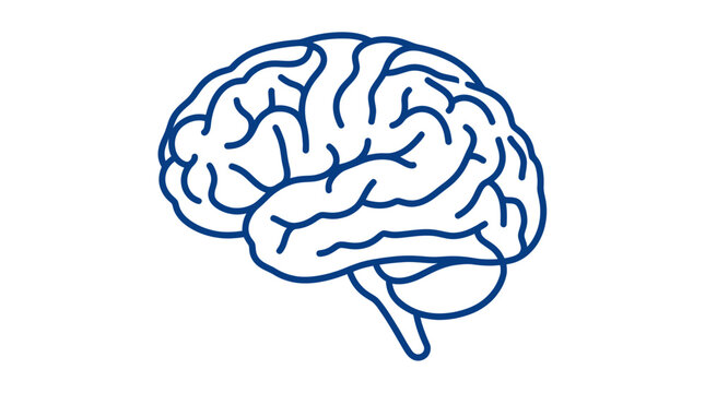 Human brain outline icon with cerebral cortex and brain stem