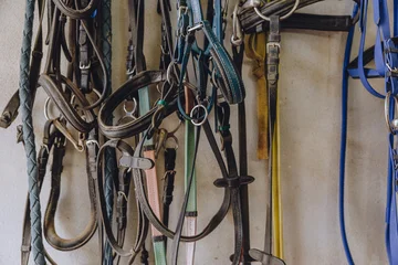 Fototapete Reiten Horse bridle, Equestrian equipment, Leather belt line tack, Horse harness, Horse riding gear  © Quality Stock Arts