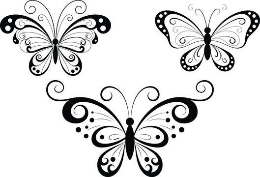 Ornate ornamental butterfly vector shapes set with elegant filigree swirls and polka dot wing details for vintage tattoo design