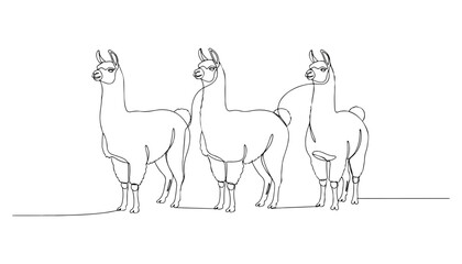 Continuous Simple black line art drawing set of llama in a minimalist style on a white background. © shoshi