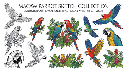 Macaw Parrot Collection: Tropical Jungle Style Illustrations in Black & White and Vibrant Color © kretek