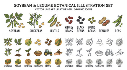 Soybean and Legume Botanical Illustration Set: Vector Line Art, Flat Design, Organic Icons © kretek