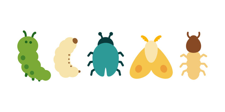 Cute Cartoon Insects Collection Caterpillar, Larva, Beetle, Moth, Ant on White Background