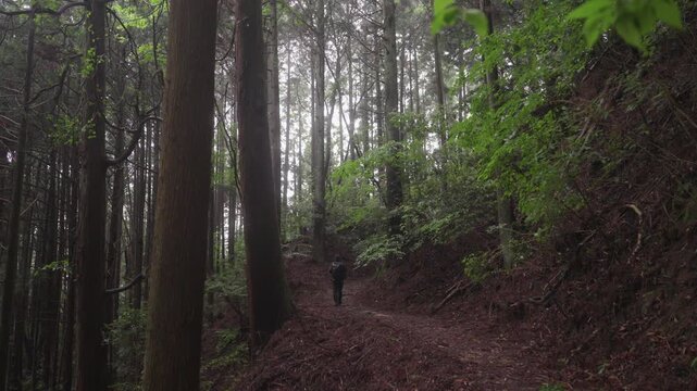 Misty Koyasan Pilgrimage Trail &ndash; Choishimichi (Between the 41st and 40th Stone Markers), Koya Town, Wakayama「霧の高野参詣道 町石道(41町石・40町石区間)」和歌山県高野町