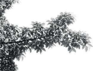 Fototapeta premium Close-up of tree branches and leaves rendered in a detailed halftone dot pattern, highlighting natural textures and intricate organic forms.