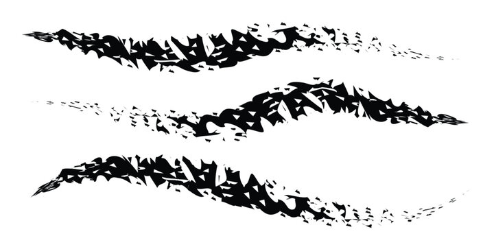 Abstract brushstroke collection three dynamic black ink swashes on white