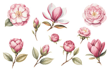 Elegant Rose and Magnolia Watercolor Flower Bundle © Vobotosh