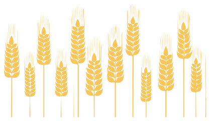 Obraz premium Stylized golden wheat stalks and grain vector illustration for agriculture harvest and food themes