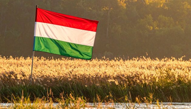 Hungary Flag in Countryside Field at Sunset