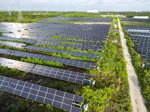 Aerial view of San Ignacio solar photovoltaic power plant with rows of solar panels surrounded by lush green vegetation and a dirt access road in Progreso, Yucatan, Mexico.