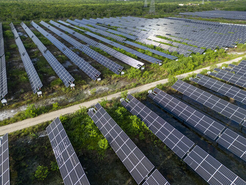Aerial view of San Ignacio solar photovoltaic power plant with rows of solar panels set in lush green vegetation in Progreso, Yucatan, Mexico.