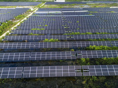 Aerial view of San Ignacio solar photovoltaic power plant with rows of solar panels and patches of vegetation in Progreso, Yucatan, Mexico.