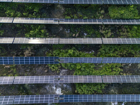 Aerial view of the San Ignacio solar photovoltaic power plant with rows of solar panels arranged in a grid pattern over lush green vegetation in Progreso, Yucatan, Mexico.