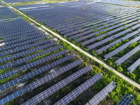 Aerial view of San Ignacio solar photovoltaic power plant with rows of solar panels and a dirt path surrounded by green vegetation in Progreso, Yucatan, Mexico.