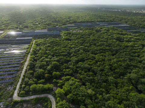 Aerial view of San Ignacio solar photovoltaic power plant with rows of solar panels integrated into the surrounding dense tropical forest in Progreso, Yucatan, Mexico.