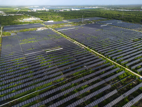 Aerial view of San Ignacio solar photovoltaic power plant with rows of solar panels and lush green vegetation in Progreso, Yucatan, Mexico.