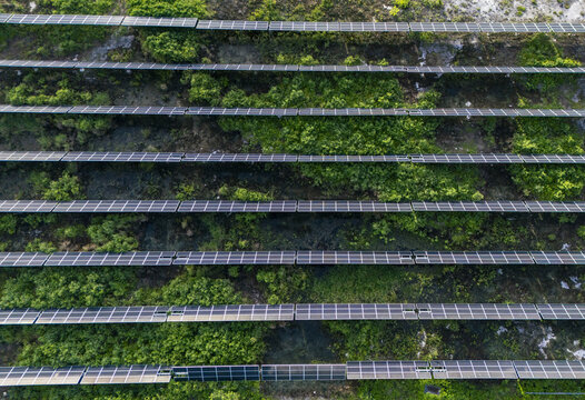 Aerial view of San Ignacio solar photovoltaic power plant with rows of solar panels integrated into the lush green landscape in Progreso, Yucatan, Mexico.