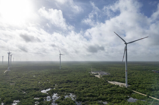 Aerial view of the Parque Eolico Energia Renovable de la Peninsula wind farm with large turbines rising above the lush green vegetation and wetlands in Progreso, Yucatan, Mexico.