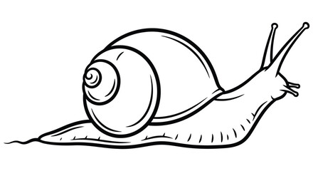 Line art illustration of a snail black and white sketch on a white background © SHYFUL_STUDIO