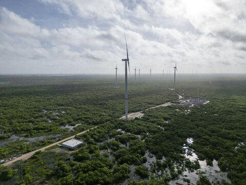 Aerial view of Parque Eolico Energia Renovable de la Peninsula with wind turbines rising above the lush green landscape and wetlands in Progreso, Yucatan, Mexico.