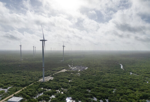 Aerial view of the Parque eolico Energia Renovable de la Peninsula wind farm with tall white turbines rising above dense green mangrove forests in Progreso, Yucatan, Mexico.
