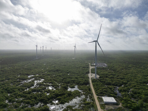 Aerial view of the Parque eolico Energia Renovable de la Peninsula, with wind turbines rising above a lush green landscape and wetlands in Progreso, Yucatan, Mexico.
