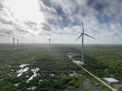 Aerial view of the Parque eolico Energia Renovable de la Peninsula wind farm with large turbines rising above the lush green landscape and wetlands in Progreso, Yucatan, Mexico.