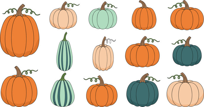 A large vector collection of various pumpkin and squash gourds in fall colors, including striped, bumpy, smooth, and oddly-shaped varieties, perfect for Thanksgiving and Halloween designs.