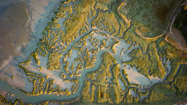 Aerial view of the intricate tidal channels and salt marshes of the Penerf estuary at golden hour in Damgan, Bretagne, France.