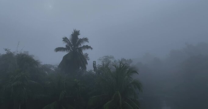 A drone tilt-up shot captures Assam&rsquo;s rural landscape on a cold winter morning, blanketed in soft fog, revealing a calm, mystical scene bathed in gentle, golden sunlight 4K