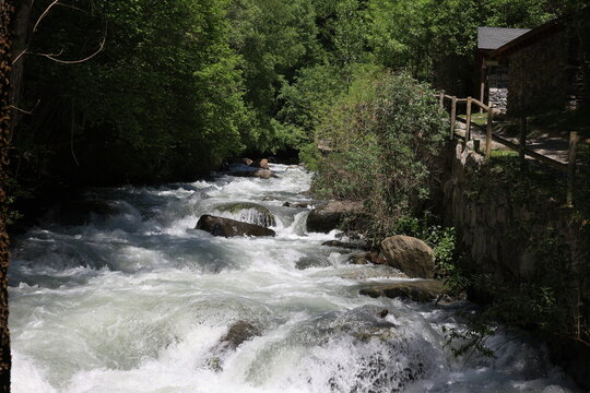 View of the crystal-clear Valira d'Orient river in La Massana, Andorra  