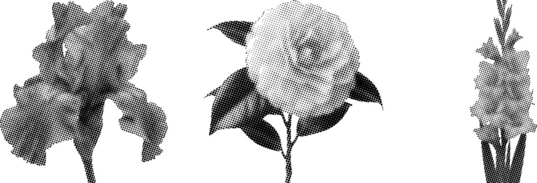 Halftone floral illustrations of roses and leaves in black and white