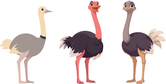 Cute cartoon ostrich characters set showing different species like common and somali ostriches isolated on white background flat vector illustration collection