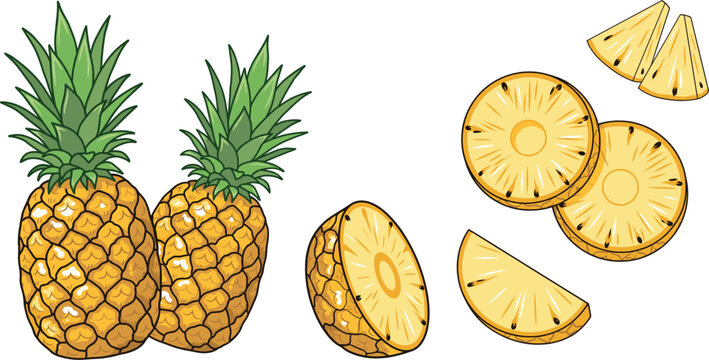 Fresh pineapple fruit vector illustration set showing whole pineapples halved fruit round slices and cut chunks isolated on white background