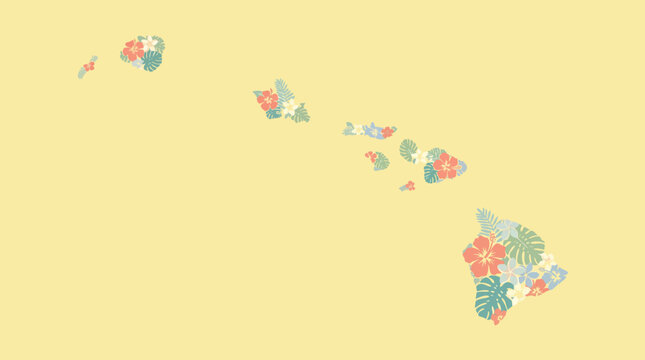 Tropical Hawaii map with floral hibiscus pattern on yellow backdrop.
