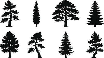 Fototapeta premium Set of Pine and Evergreen Tree Silhouettes Isolated Vector Forest Collection