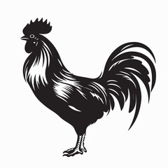 Fighting Rooster Side View Silhouette Vector Illustration © Sutarno