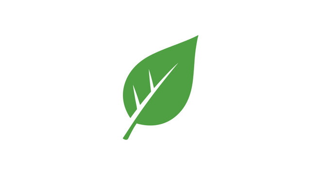 Simple Green Leaf Illustration Representing Nature, Ecology, and Environmentalism without a comma