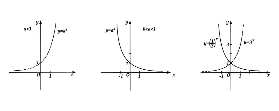 Vector illustration comparing the graphs of exponential functions with an example.