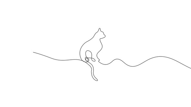 One Line Drawing Cat Sitting Video Animation