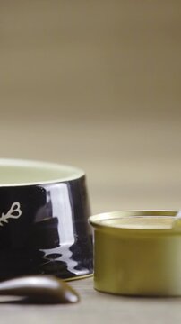 Cat bowl with opened canned food beside