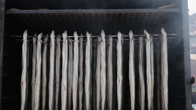 resh eels hanging in a smoking rack smoking