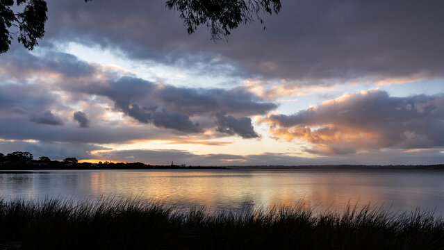 View of the calm waters of Oyster Harbour at sunset with silhouetted grasses in the foreground and dramatic clouds in the sky in Little Grove, Western Australia, Australia.