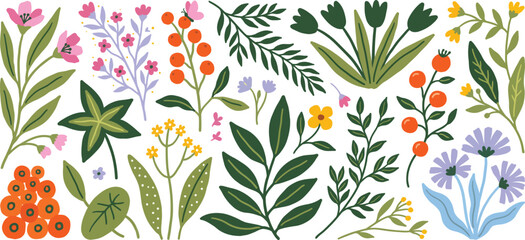 Assorted colorful botanical with flowers berries and leaves botanical flowers © MDSHAHIN