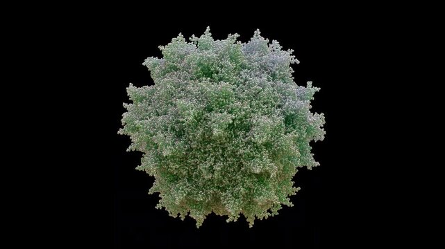 3D structure of AAV2 Adeno-Associated Virus2 capsid 60-mer, replication-defective non-pathogenic, HSPG binding, liver, retina, kidney, CNS. Primarily for LCA retinal disease, Hemophilia B Gene Deliver
