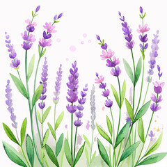 Obraz premium Watercolor Lavender Floral Border with White Copy Space