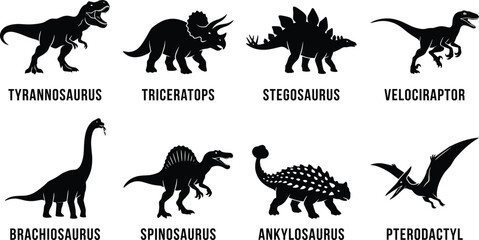 Dinosaur Silhouette Collection Featuring Tyrannosaurus Triceratops Stegosaurus Velociraptor Brachiosaurus Spinosaurus Ankylosaurus and Pterodactyl © Shahin