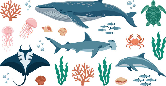 Ocean wildlife collection featuring whale dolphin manta ray hammerhead shark turtle and marine life illustrations